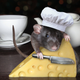 Illustration for article titled Viral video of rats swarming a DC pizzeria was a sham, owner says
